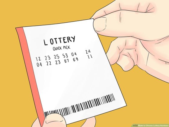 Nagaland State Lottery